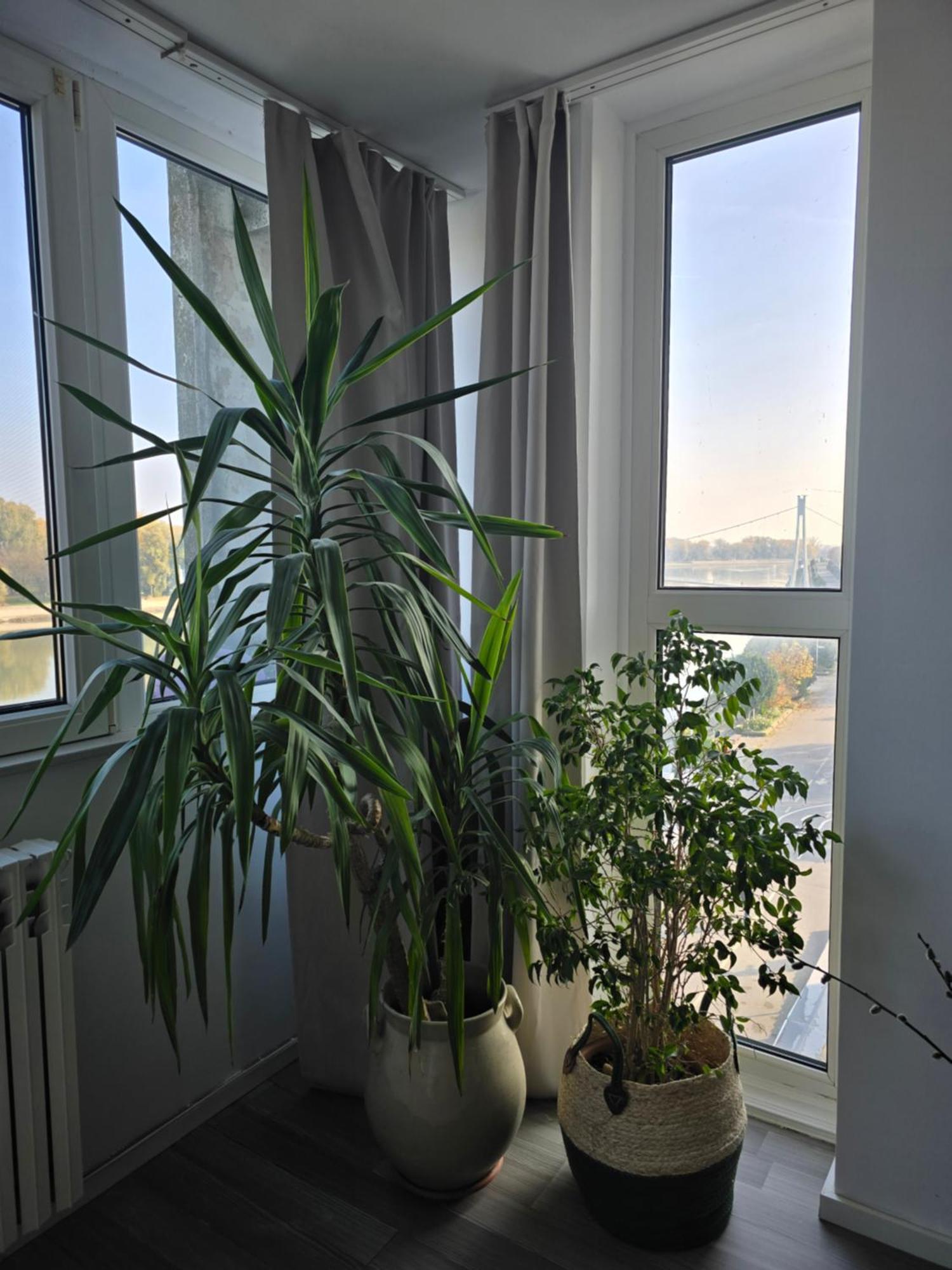 Riverview Apartment Осієк Екстер'єр фото